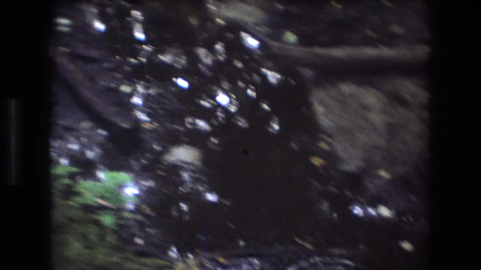 The final frame shows dark shallow stream water, bright surface reflections, a muddy bank, and partial forest foliage in the same Baxter, Maine home-movie scene.