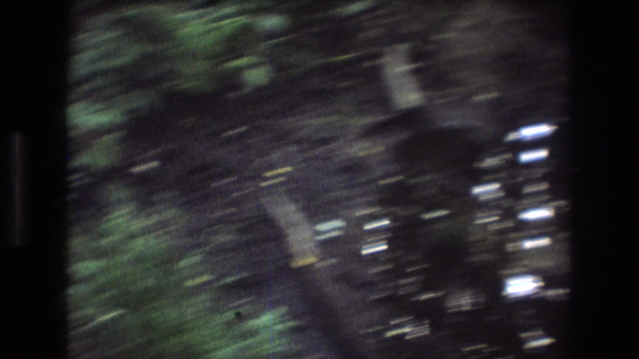 Blurred handheld view of wet leaves, roots, and green forest growth.