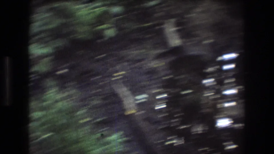 1975 Baxter, Maine 8mm frame with motion-blurred woodland floor, dark soil, roots, wet leaf litter, and green foliage near the edge of the path.