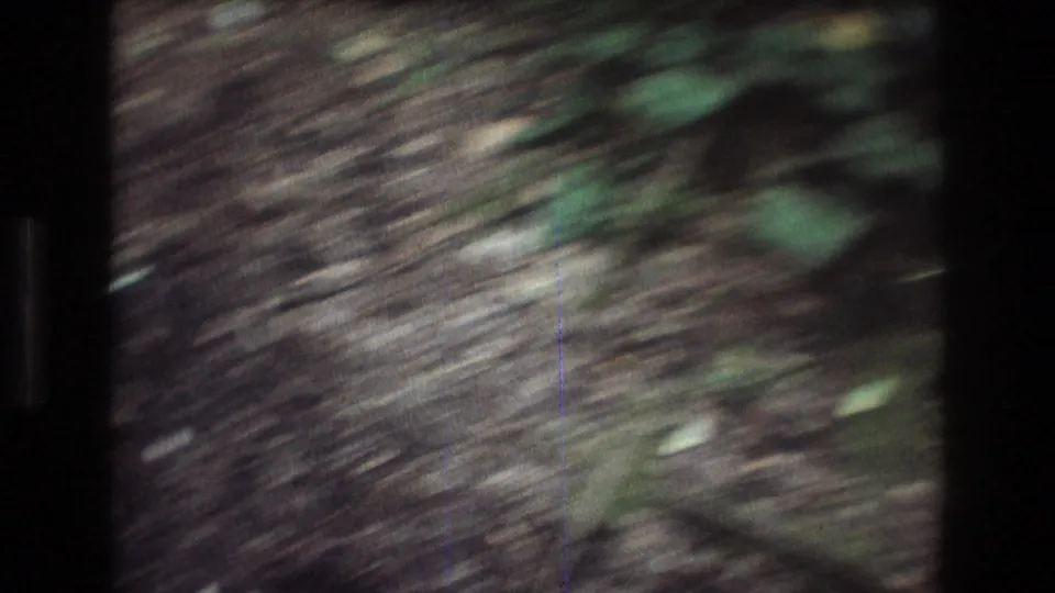 1975 Baxter, Maine 8mm frame showing a fast handheld sweep over damp leaf-covered ground with scattered twigs, soft green plants, and brown woodland debris.