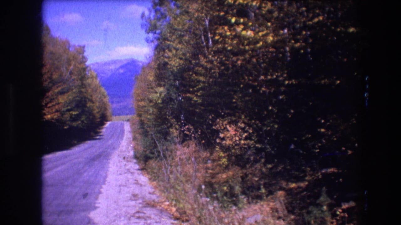 Tree-lined rural road leading toward distant mountains under blue sky.