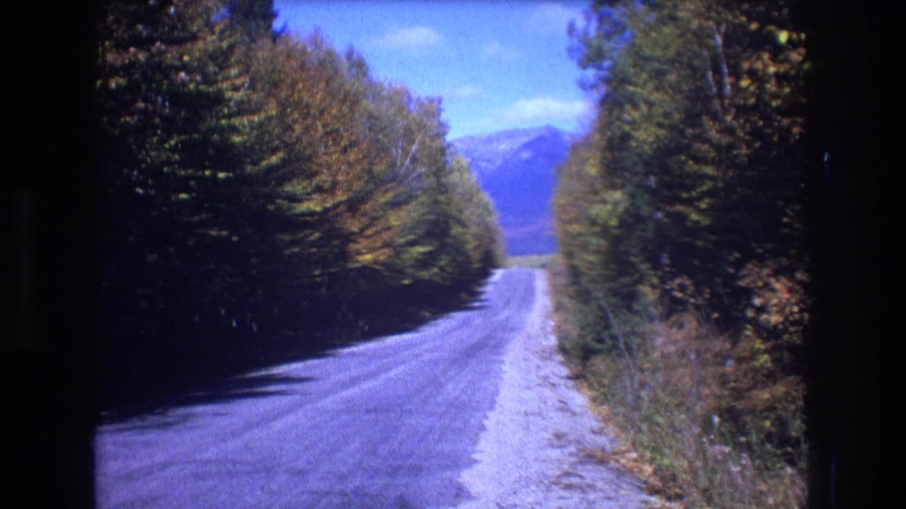 Tree-lined road curving through autumn woods with mountains in the distance.