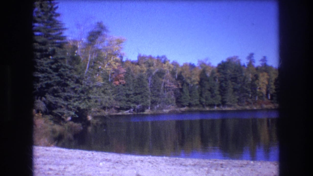 Forest-lined lake under blue sky with a pale shoreline and dark scan border.