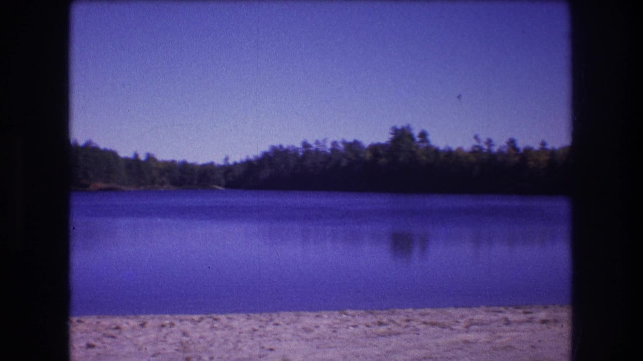 Wide lake view with sandy foreground and dense trees along the opposite shore.