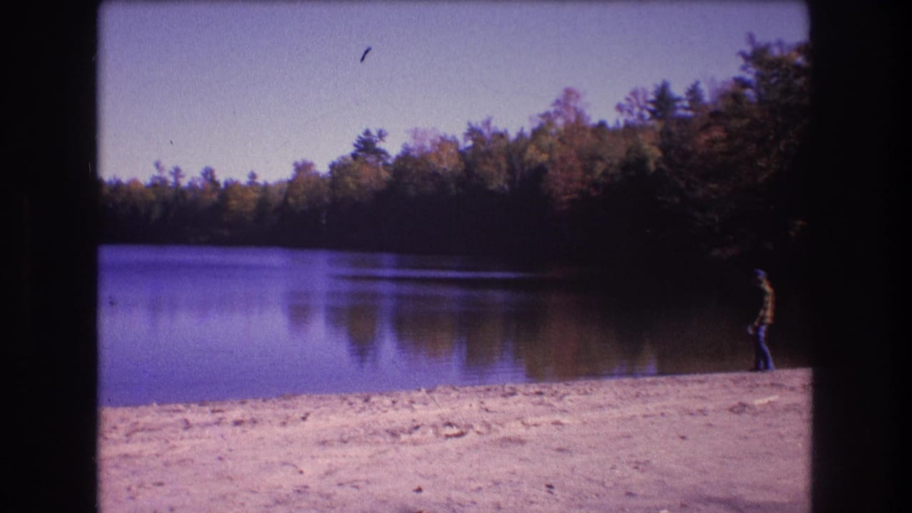 Distant person standing near the edge of a wooded lake.