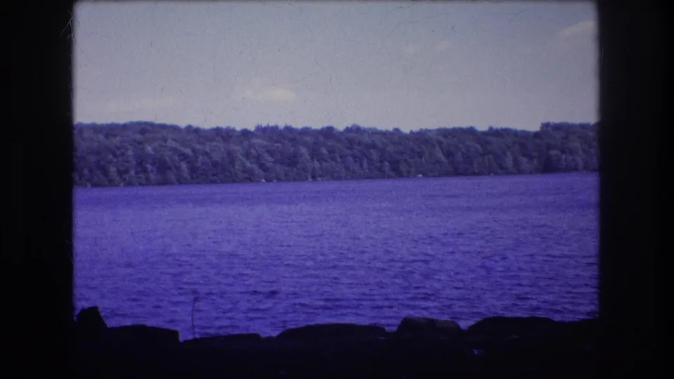 A Baxter, Maine lakeside view on 8mm film, with purple-toned water, a dense wooded shoreline, pale sky, and silhouetted tree trunks along the foreground.