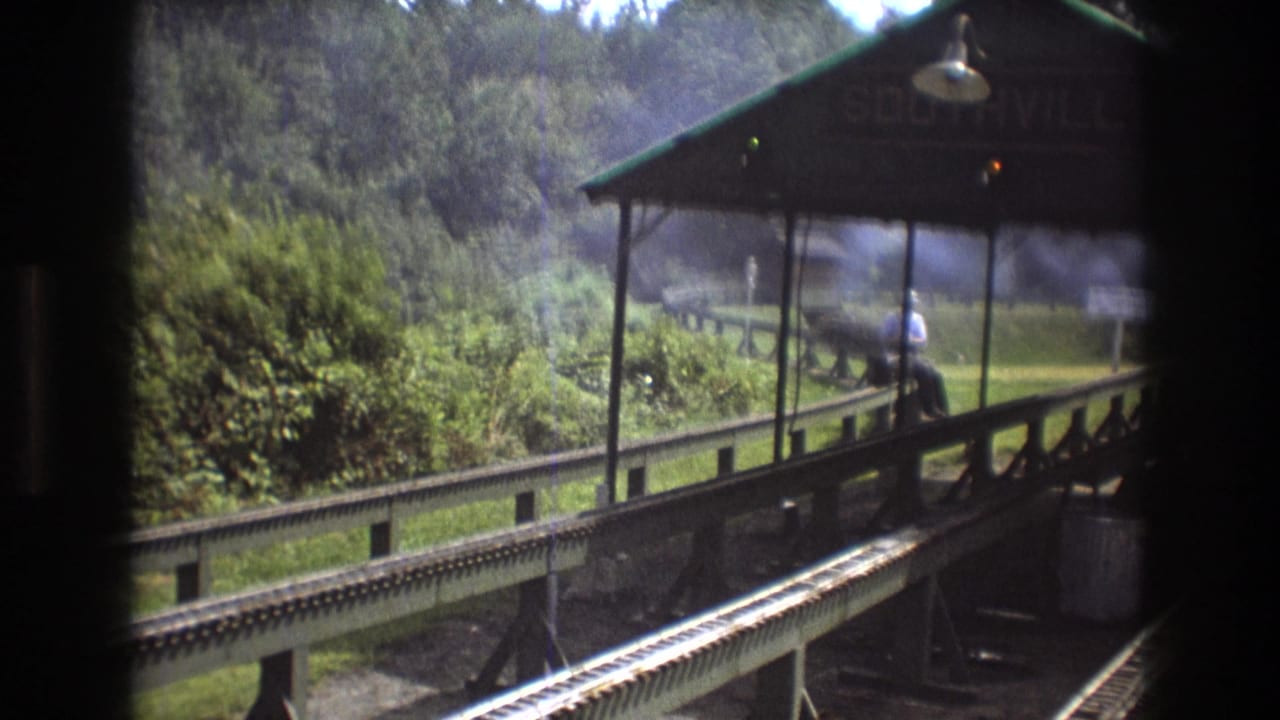 Covered station platform beside tracks with a man near the railing and dense trees behind.