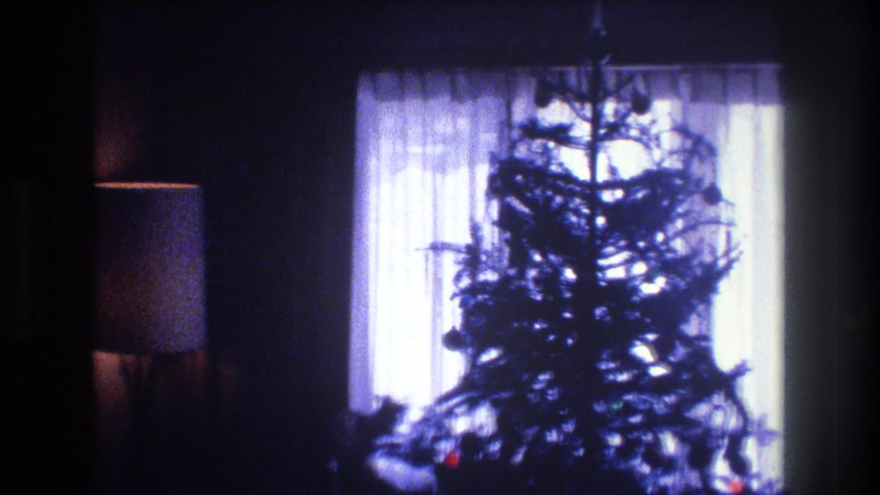Decorated Christmas tree silhouetted by a bright window with sheer curtains.