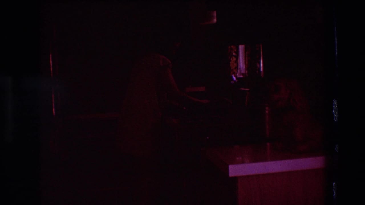 Dim kitchen view with a woman near the sink and a dog on the counter.