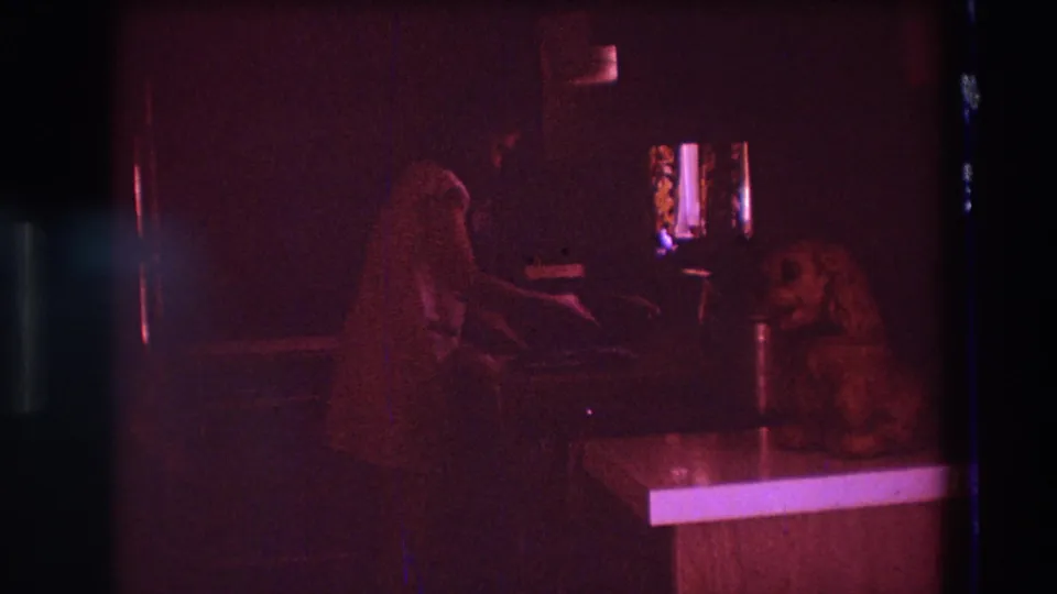 A 1975 Boston home-movie frame shows a woman at the kitchen sink, partly in shadow, with a dog seated on the counter in the same dim interior.
