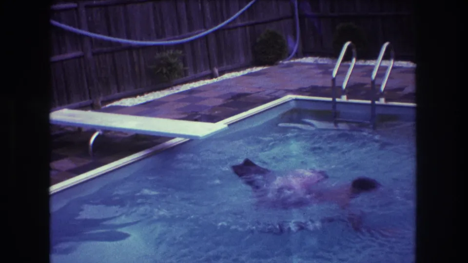 After the stunt, the man is mostly submerged in the backyard swimming pool, creating a splash near the diving board and metal pool ladder.
