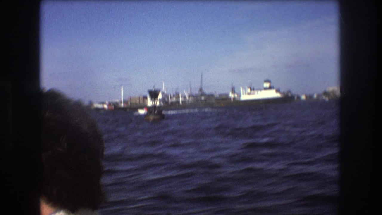Distant ship and harbor boats seen across choppy water with a passenger head in the foreground.