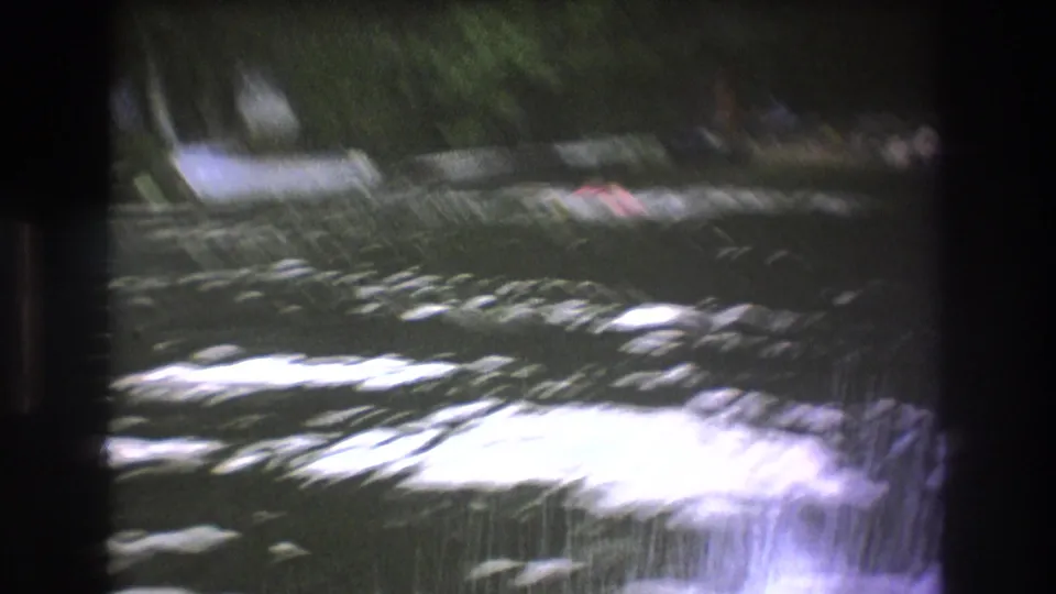 Soft 8mm frame of a wooded lakeshore near Boston, with moored boats and bright reflections across the water.