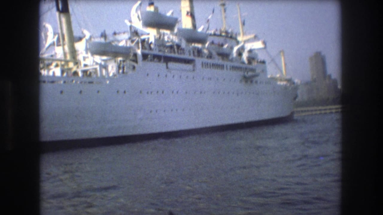 Large white passenger ship docked beside harbor water with distant waterfront structures.