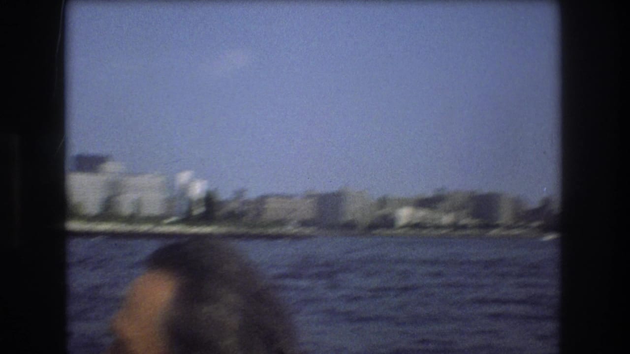 Blurred passenger head in front of a waterfront skyline across the water.
