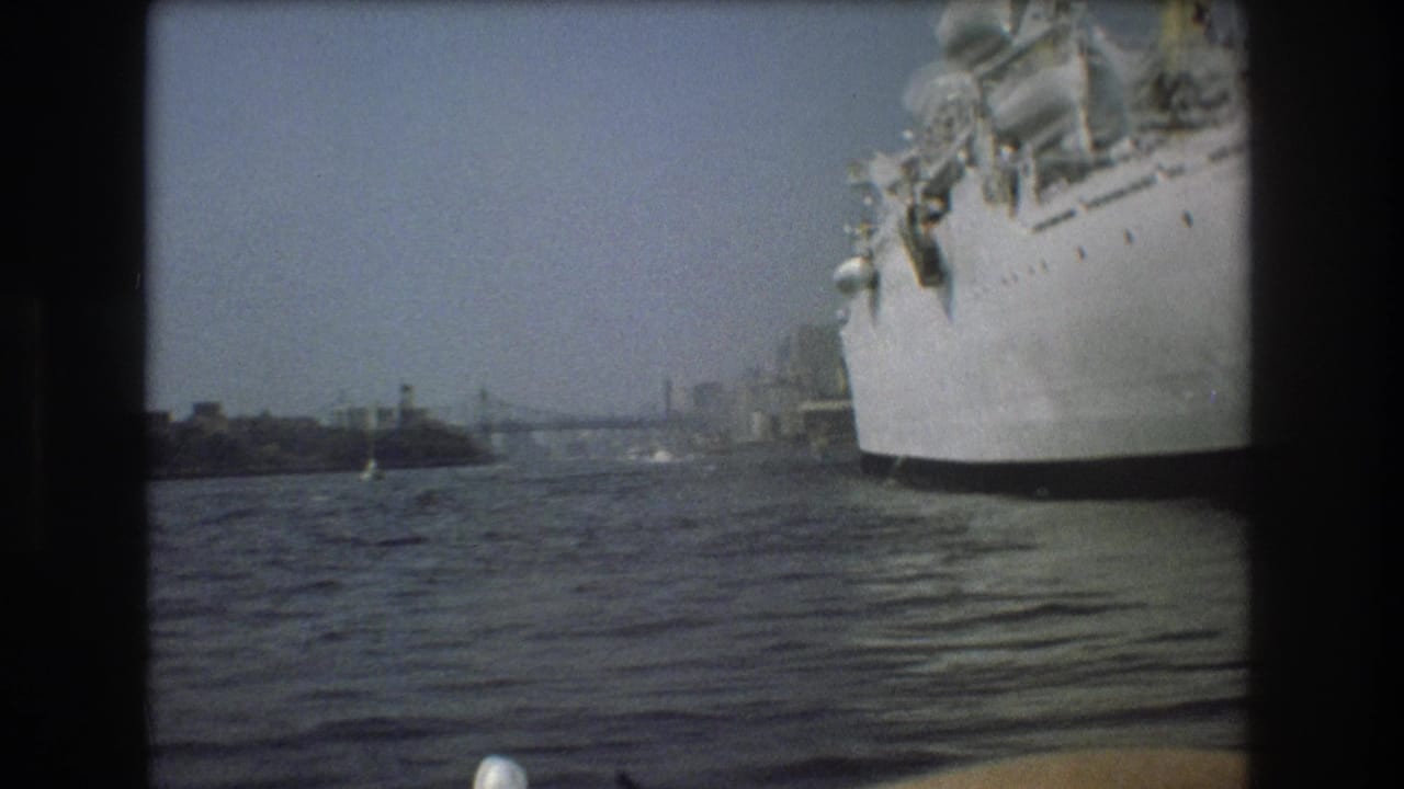 White ship at right with open harbor water and distant shoreline structures.