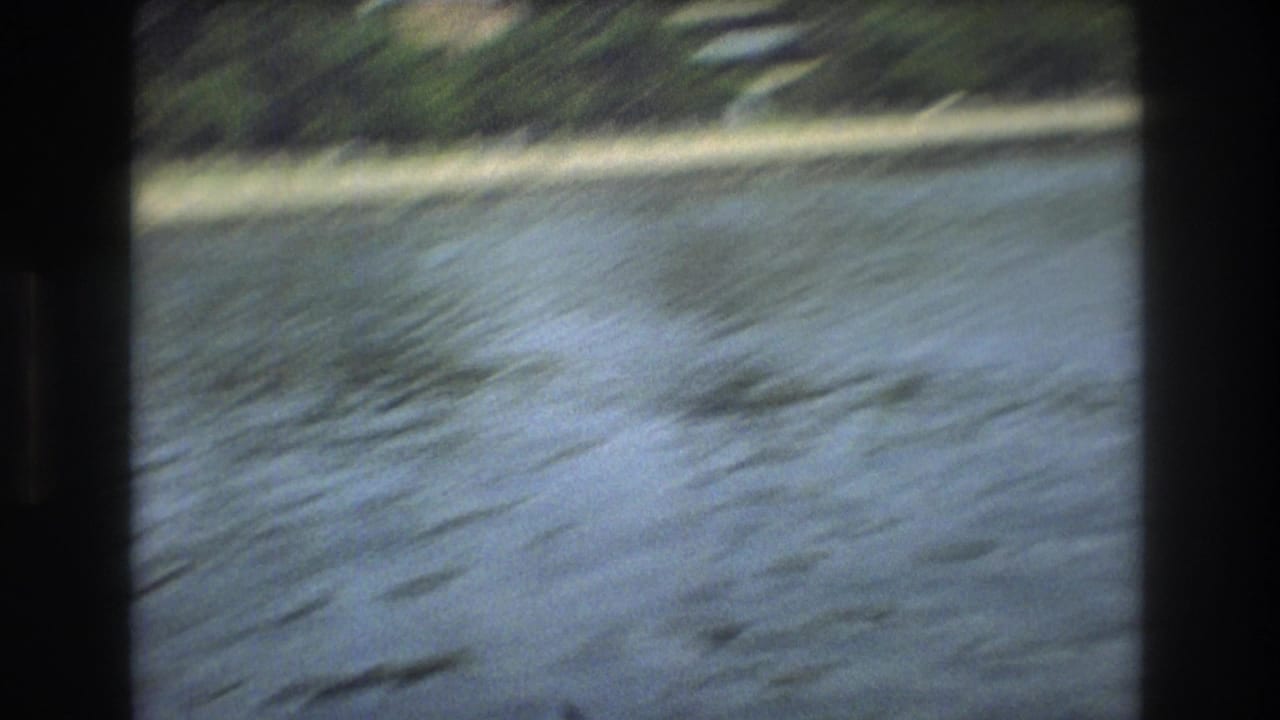 Blurred water surface and green shoreline seen from a moving boat.