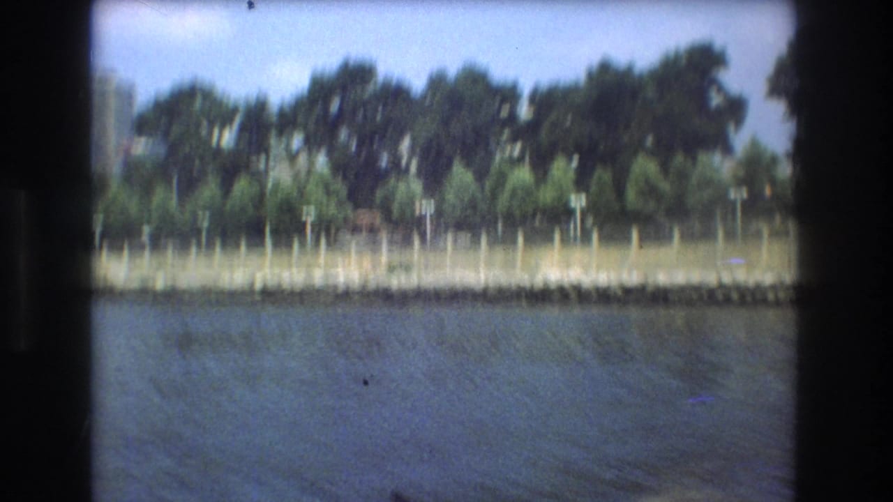 Boston 1975 waterfront frame showing rippling water, a stone shoreline, a simple fence, and dense green trees, with small-gauge film grain and slight softness.