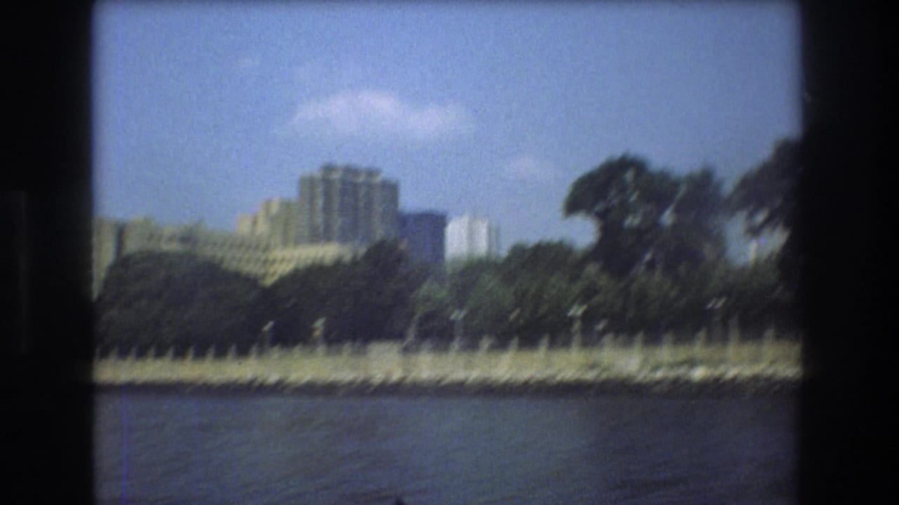 Waterfront view with trees, a shoreline wall, and several city buildings beyond the embankment.