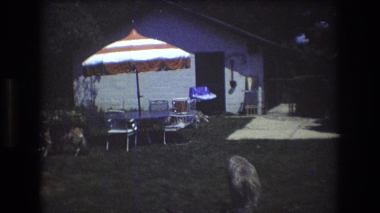 Backyard patio area with striped umbrella, chairs, house siding, walkway, and dog in the foreground.