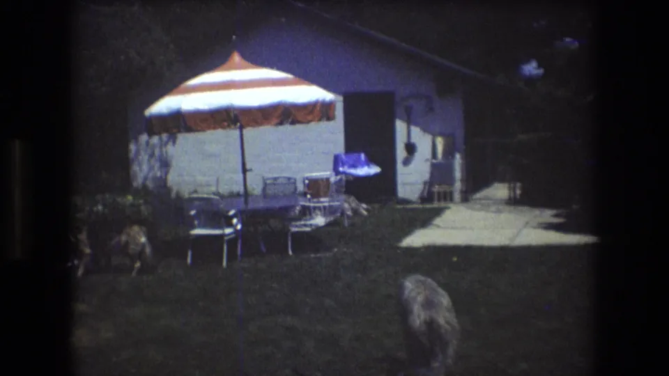 1976 Mt Bromley, Vermont backyard view with striped patio umbrella, lawn furniture, white-sided house, concrete walkway, and a dog crossing the foreground.