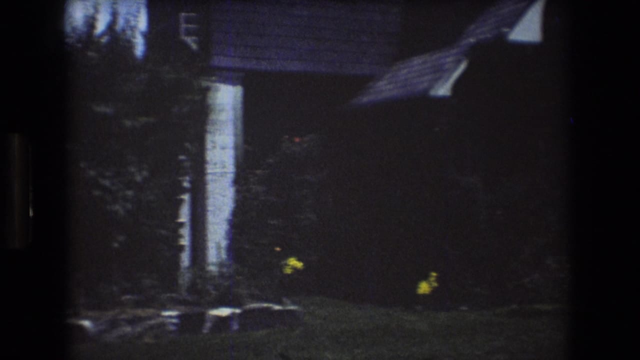 1976 Mt Bromley, Vermont frame with the side of a white house, dark roofline, dense shrubs, lawn, and small yellow flowers in the foreground.