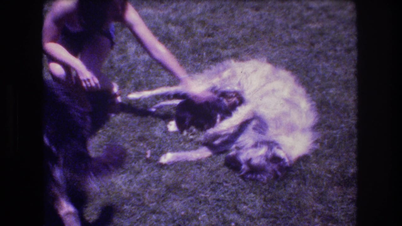 In 1976 Mt. Bromley, Vermont home-movie footage, a woman kneels at the edge of frame and reaches toward a large light-colored dog lying on its side on the lawn.