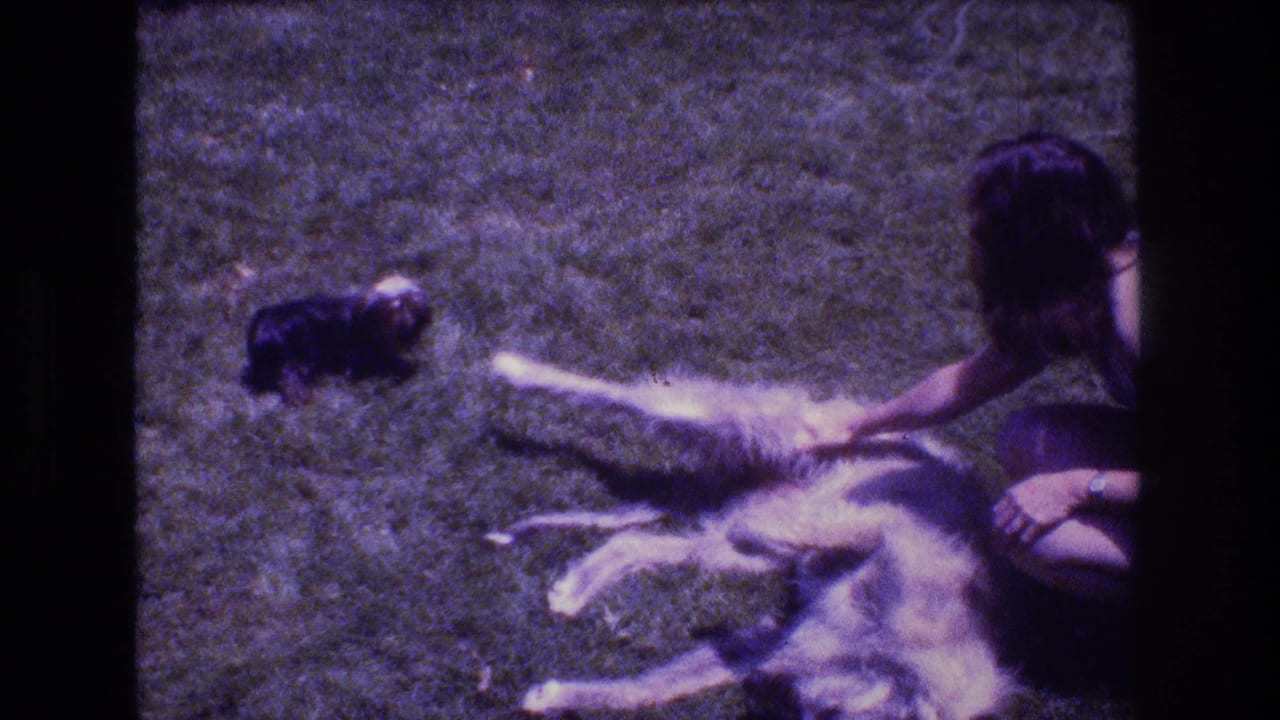 In 1976 Mt Bromley, Vermont home-movie footage, a woman in a dark dress crouches on a grassy lawn beside a large light-colored dog as a small dark dog moves in the background.
