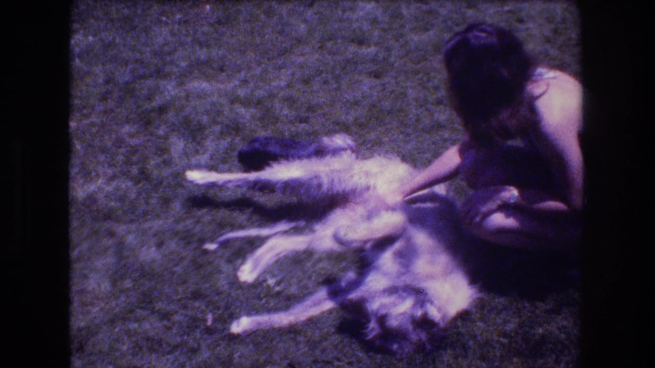 Large light-colored dog lies on its back on grass while a woman crouches beside it.