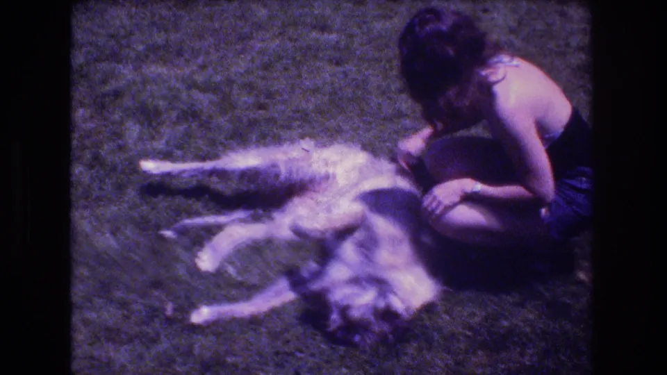 In the grainy 8mm frame, the woman leans over the large light-colored dog on the lawn, continuing the quiet petting gesture.