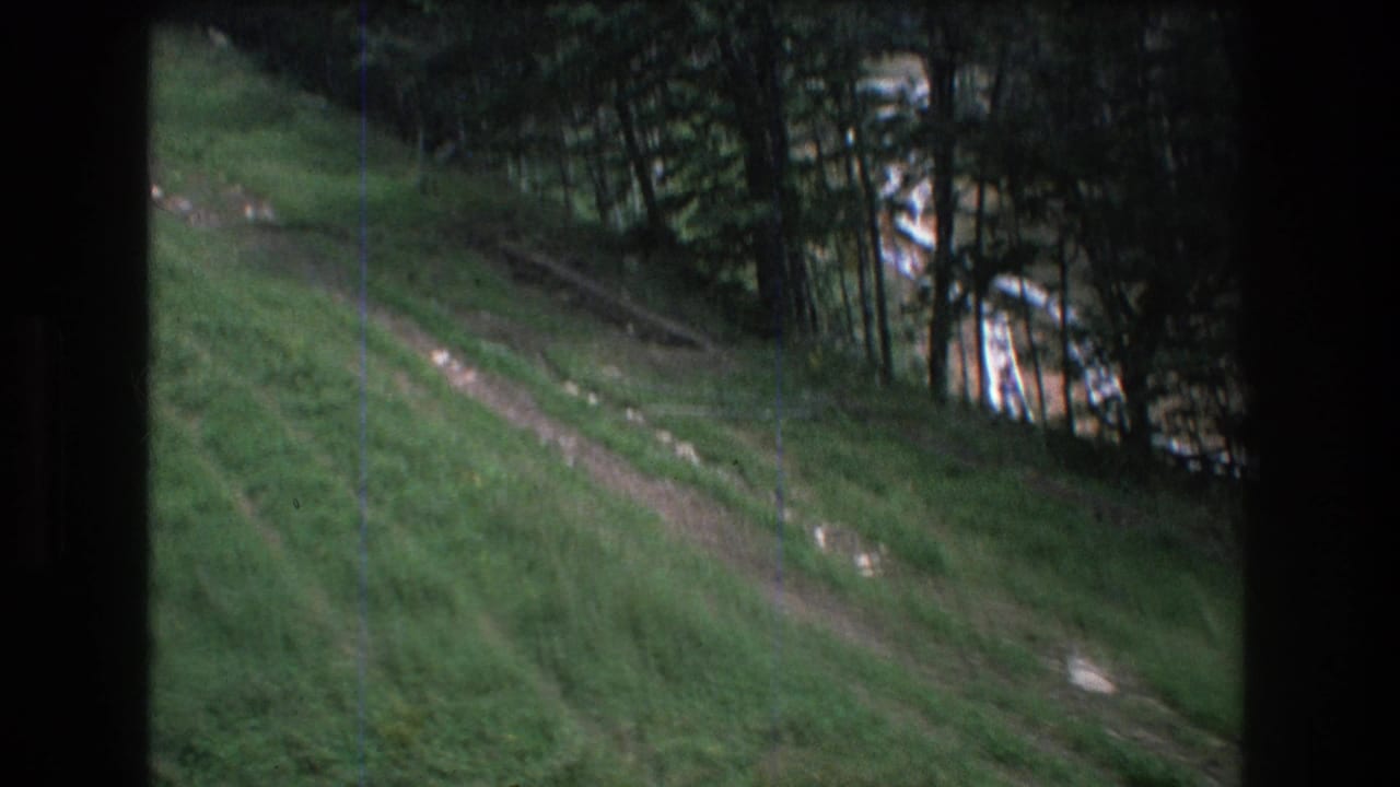 Terraced dirt track running across a green hillside next to dark conifer trees.