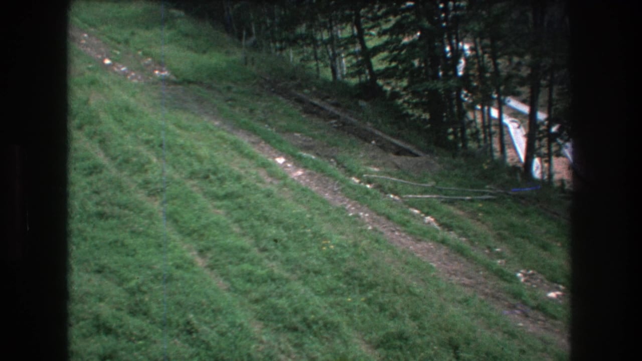 Dirt track crosses a green hillside beside dense trees.