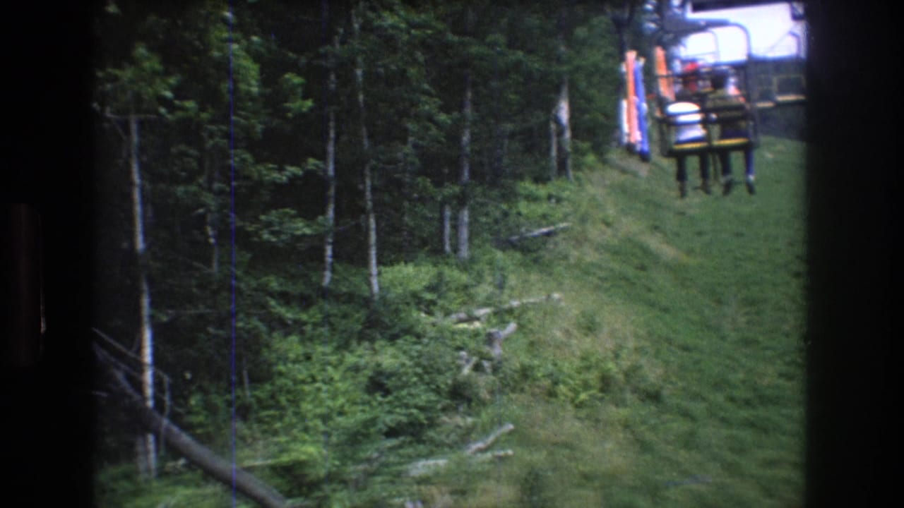 Mt Bromley chairlift passengers appear at a distance as the lift travels above a green summer slope with woods on both sides.