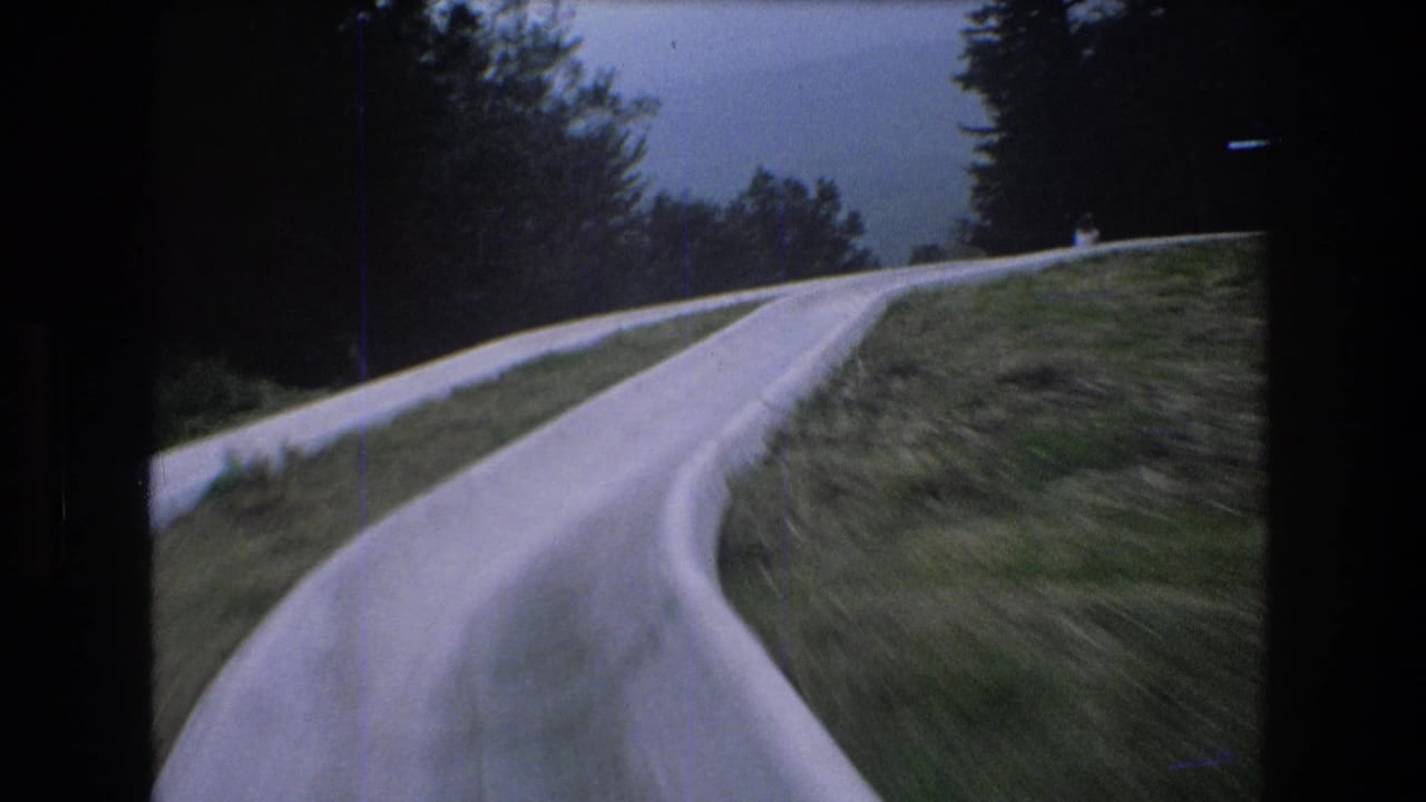 Concrete slide track bends to the right beside grass and dark trees.