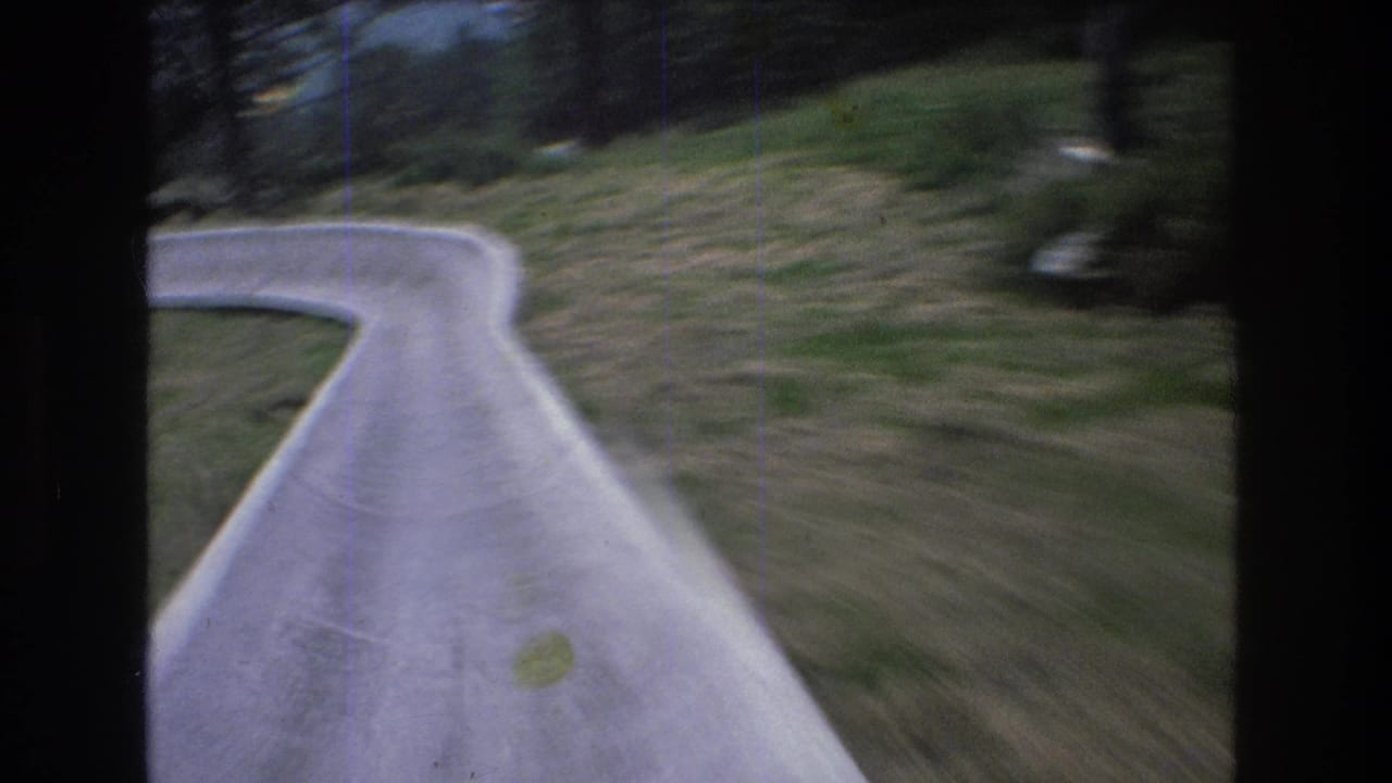 Concrete slide track bends ahead between grassy slopes and trees.