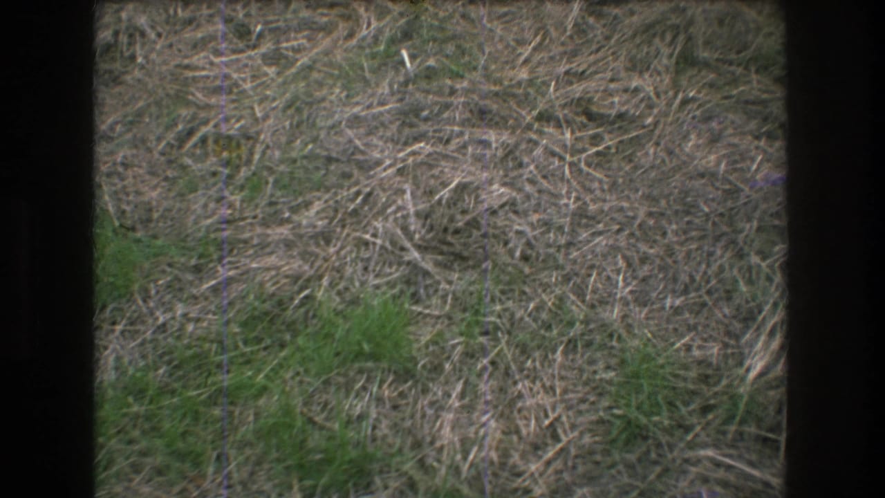 1976 Mt Bromley home-movie frame showing close ground detail with dry grass, green patches, and dark film-edge borders.