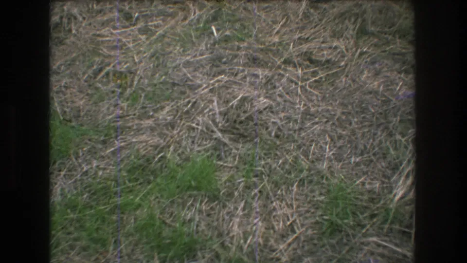 1976 Mt Bromley home-movie frame showing close ground detail with dry grass, green patches, and dark film-edge borders.