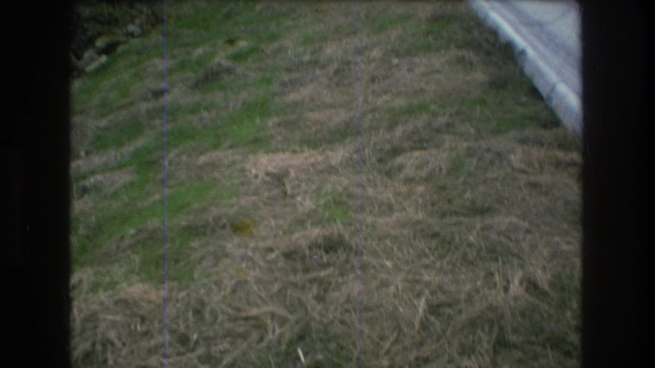 Grassy hillside with the edge of a white slide entering from the right.
