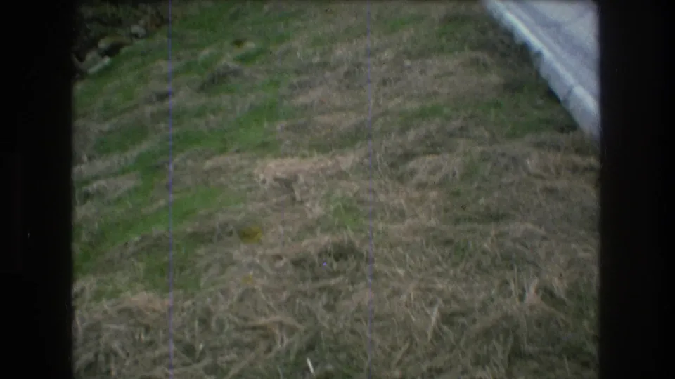 1976 Mt Bromley frame with patchy hillside grass and part of a white plastic slide along the right edge.