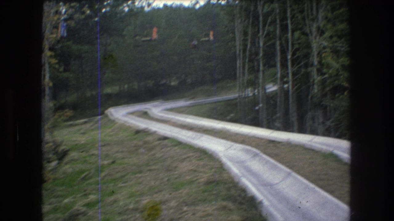 Curving slide trough seen from a low angle beside trees and grass.