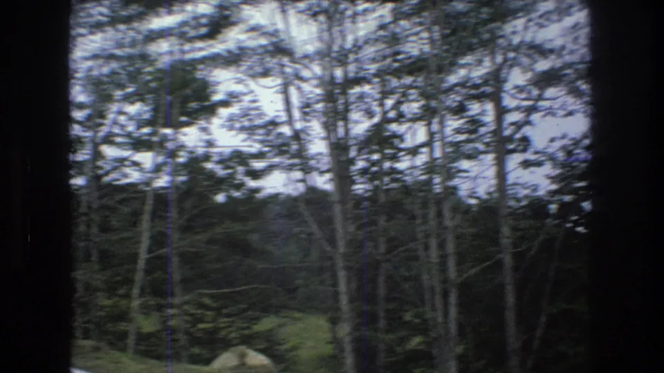 1976 Mt Bromley, Vermont home-movie frame looking past tall tree trunks and dense forest growth, with a pale path edge at the left of the shot.