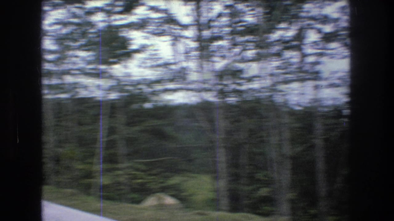 1976 8mm frame from Mt Bromley, Vermont, showing blurred trees, a grassy roadside, and dark vehicle-window edges during a moving road shot.