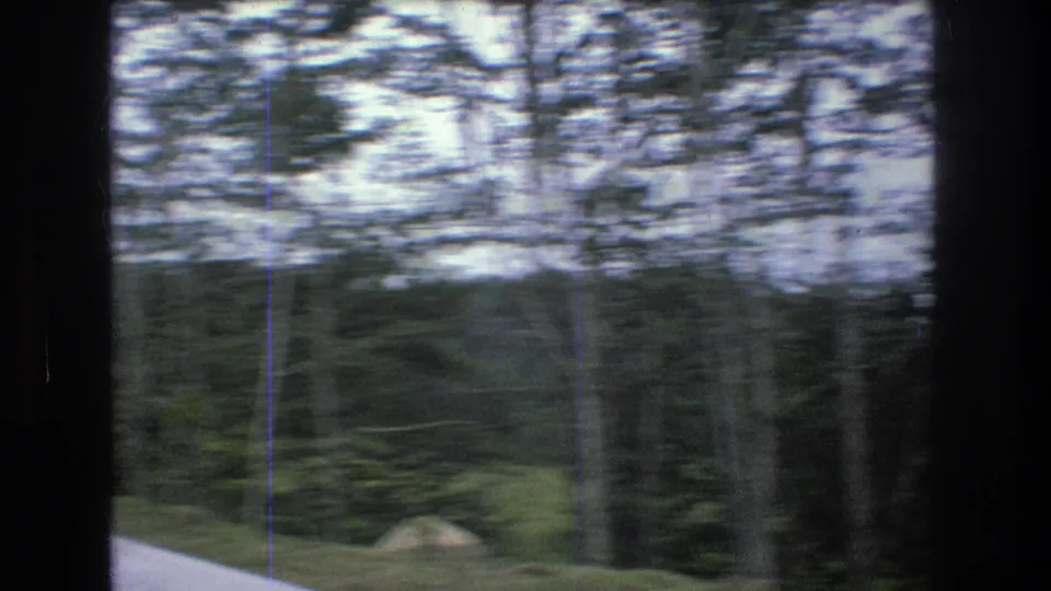 1976 8mm frame from Mt Bromley, Vermont, showing blurred trees, a grassy roadside, and dark vehicle-window edges during a moving road shot.