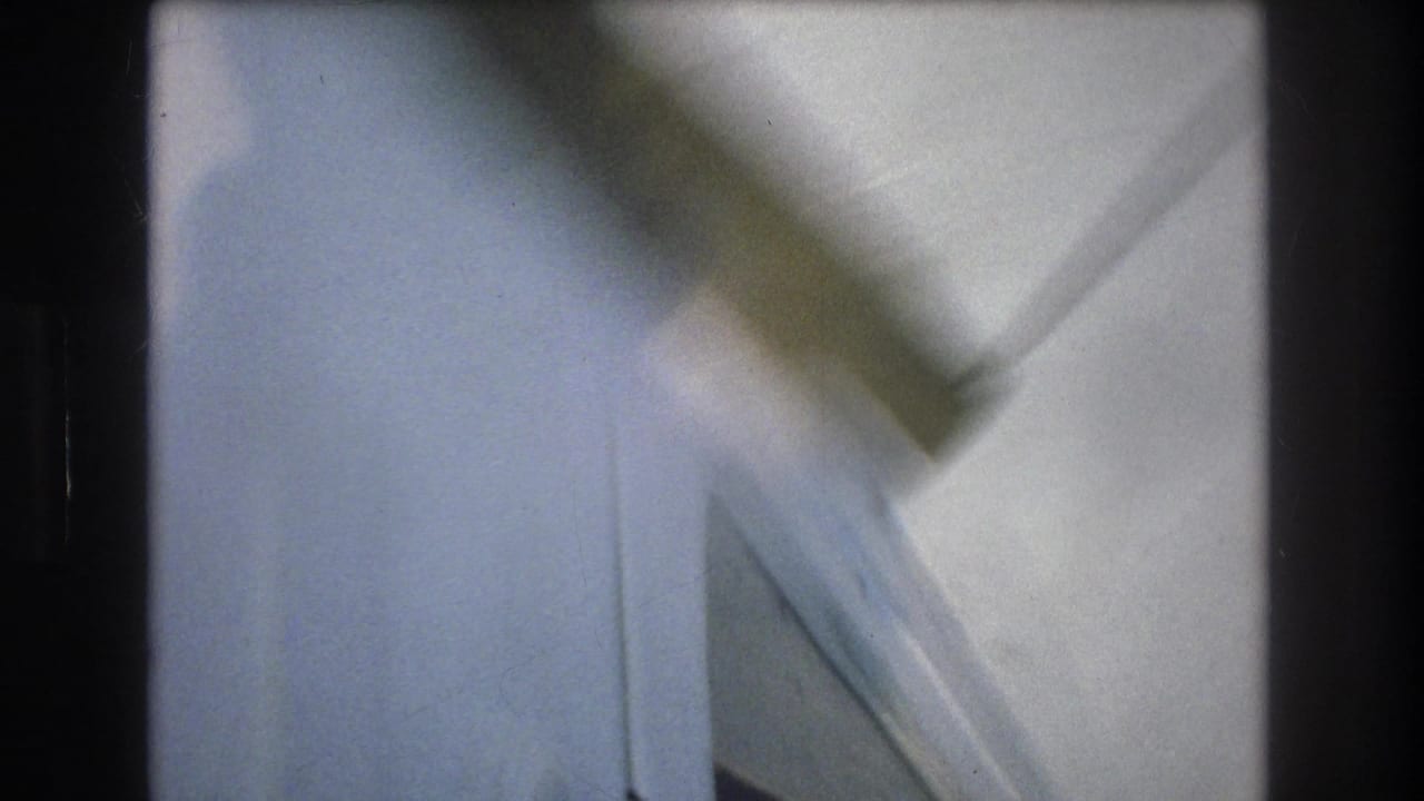 Blurred pale wall or floor area with a diagonal object crossing the upper frame.