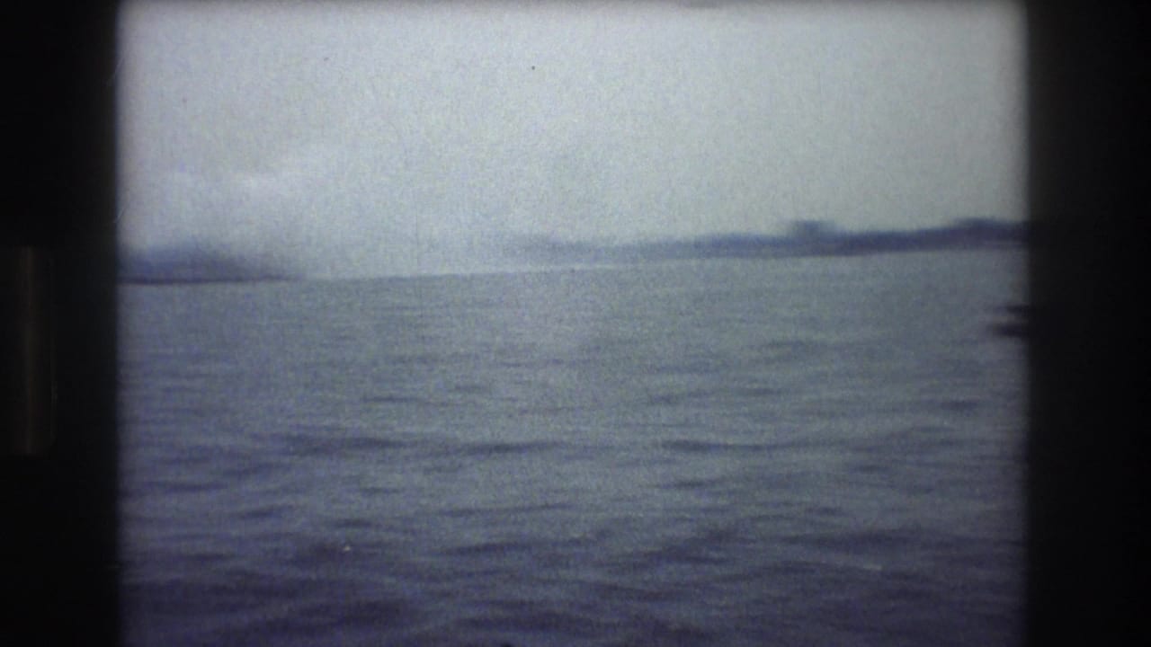 Open water with a low distant shoreline beneath a pale sky.