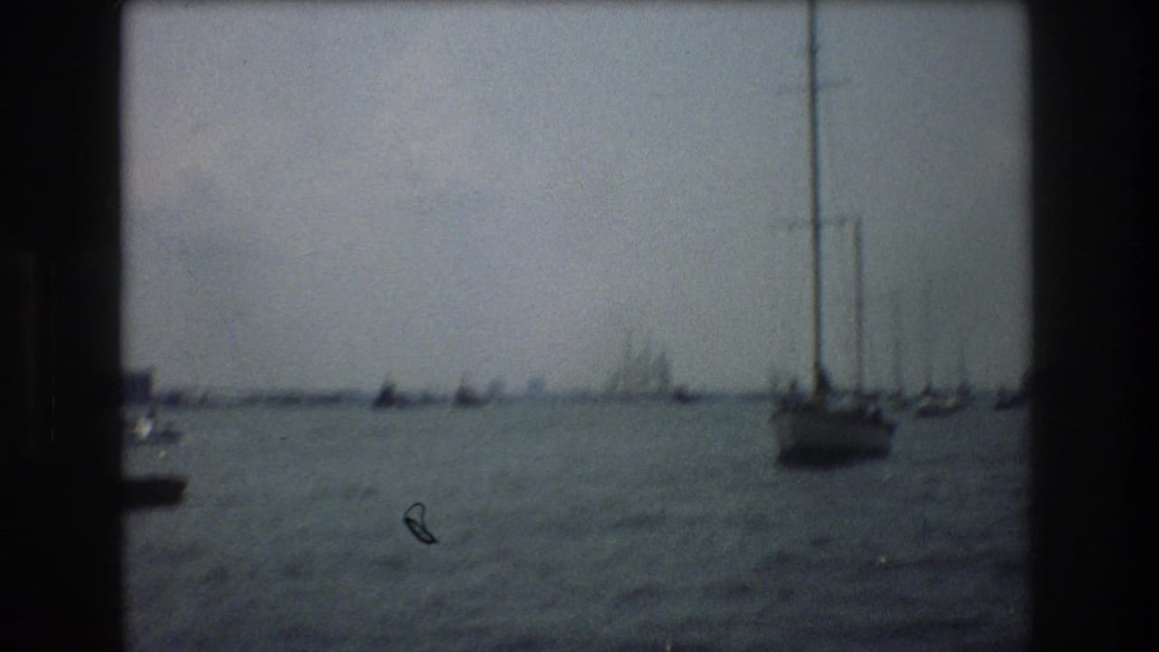 Sailboats and small craft spread across hazy water with a faint skyline in the distance.