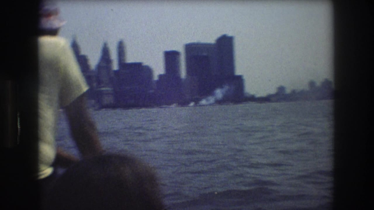 Partial passenger in a light shirt facing a skyline across the water.