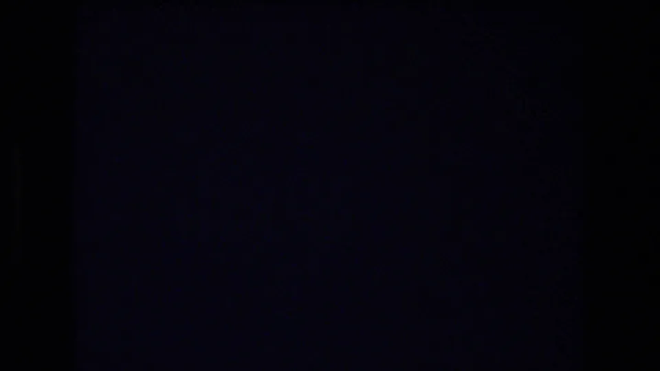 The final frame is mostly dark and grainy, consistent with the end of a short 8mm home-movie segment after the Honolulu greeting scene.