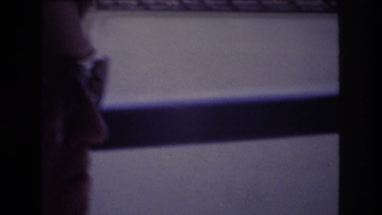 A woman in profile wearing glasses sits beside a dark-framed boat window during a 1977 Honolulu home-movie travel scene.