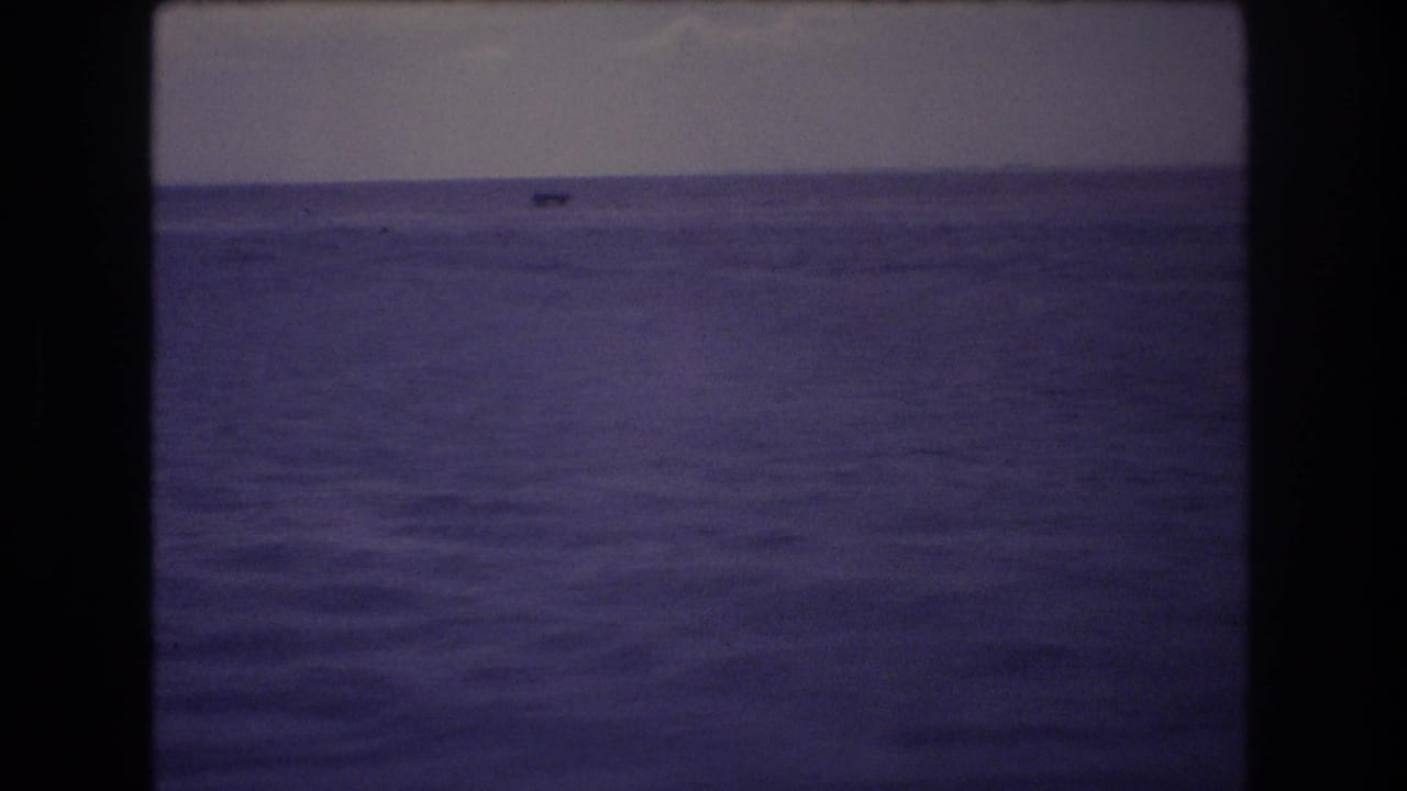 Open ocean under a muted sky with a small distant boat near the horizon.